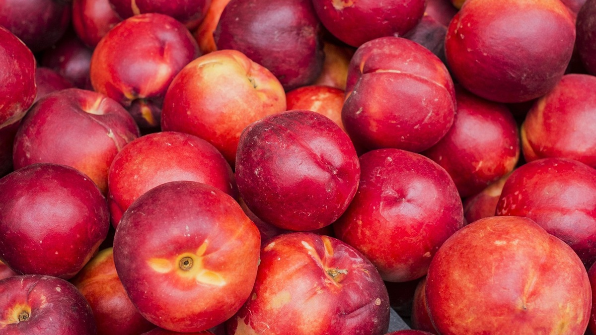 Phenylalanine protects nectarines stored at low temperatures.jpg